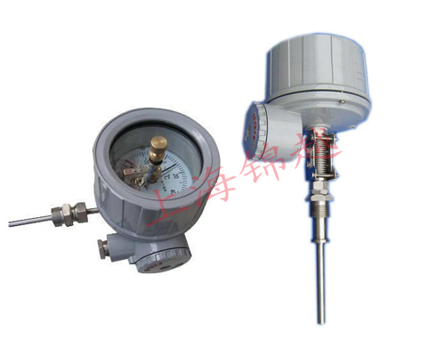 隔爆電接點(diǎn)雙金屬溫度計 WSSX-484B